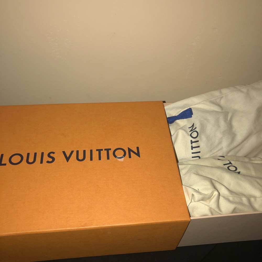 Louis Vuitton sneakers
